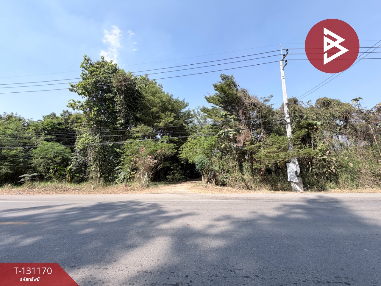 ขายที่ดิน เนื้อที่ 46 ไร่ 3 งาน 74 ตารางวา ปากท่อ ราชบุรี 12