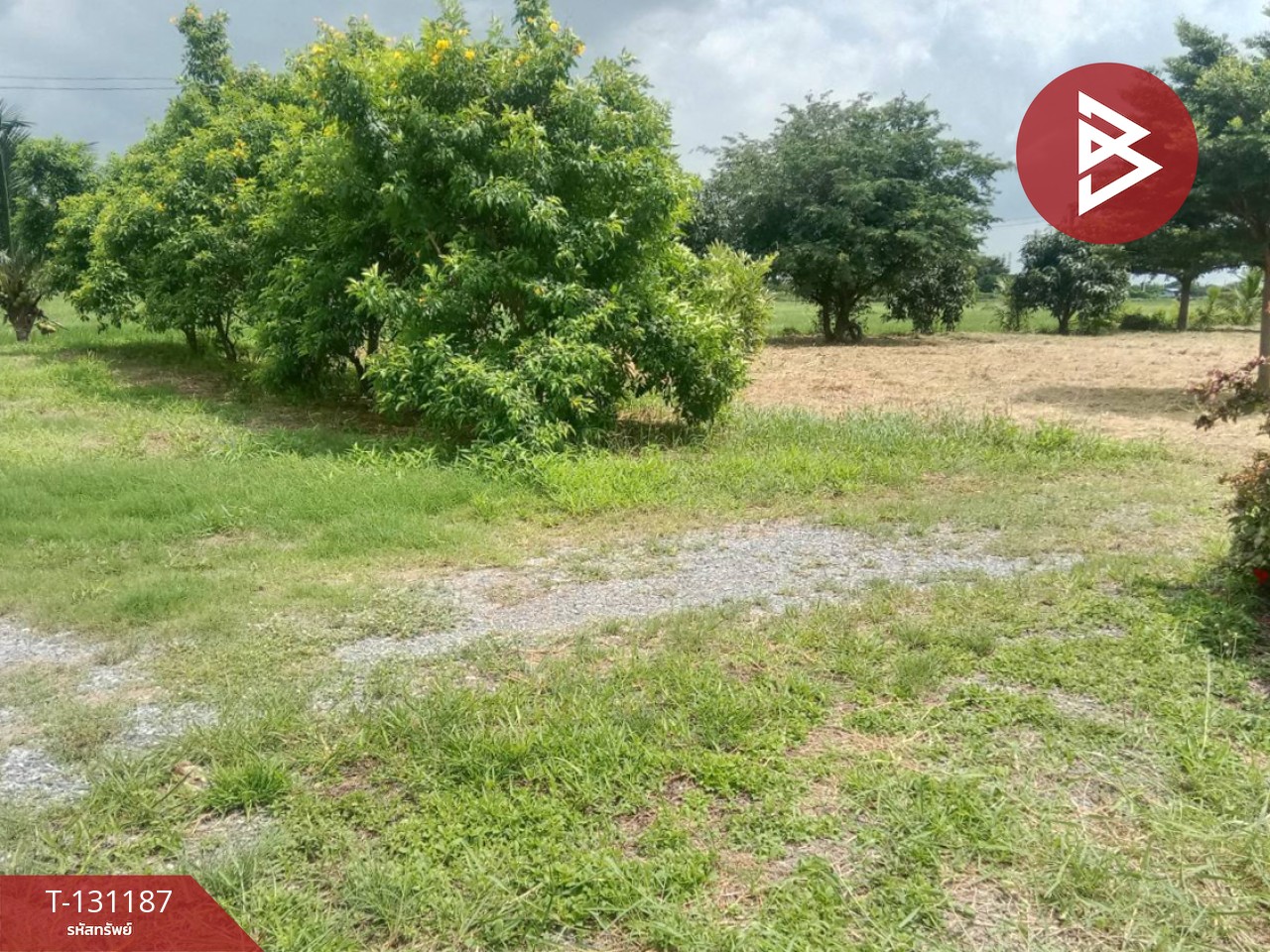 ขายบ้านเดี่ยวพร้อมที่ดิน เนื้อที่ 2 ไร่ บางแก้ว ฉะเชิงเทรา 13