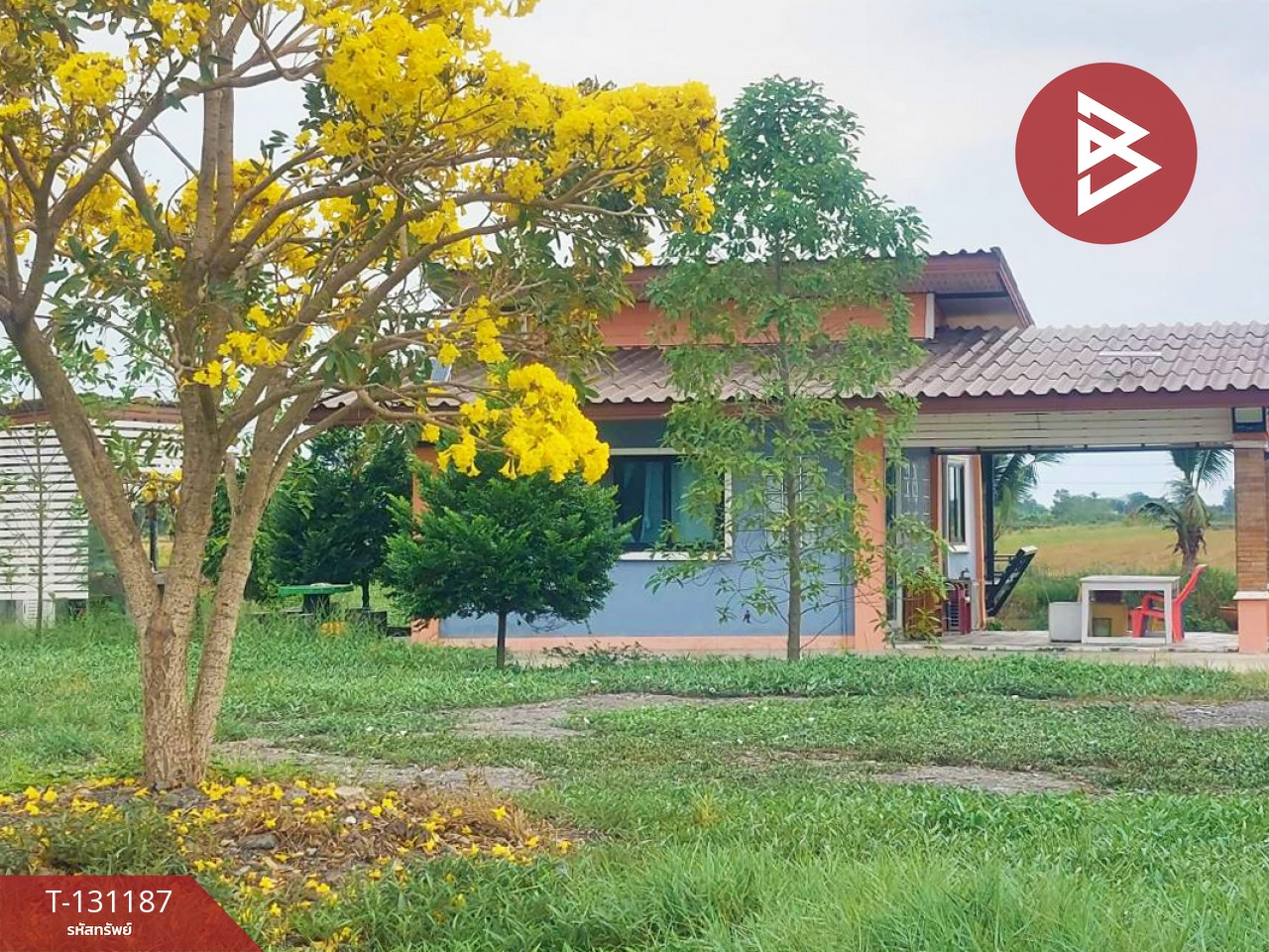 ขายบ้านเดี่ยวพร้อมที่ดิน เนื้อที่ 2 ไร่ บางแก้ว ฉะเชิงเทรา 8