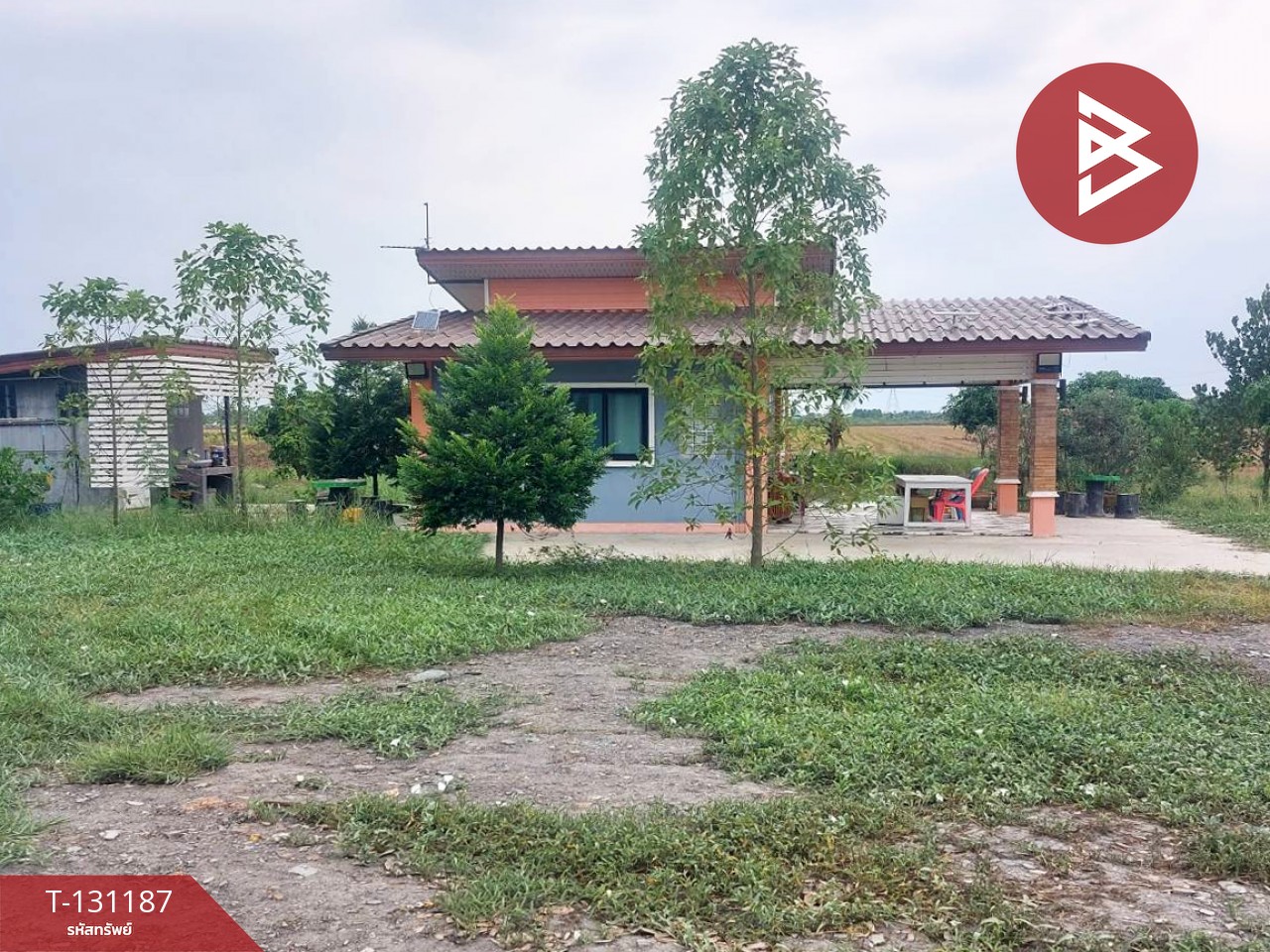 ขายบ้านเดี่ยวพร้อมที่ดิน เนื้อที่ 2 ไร่ บางแก้ว ฉะเชิงเทรา 9