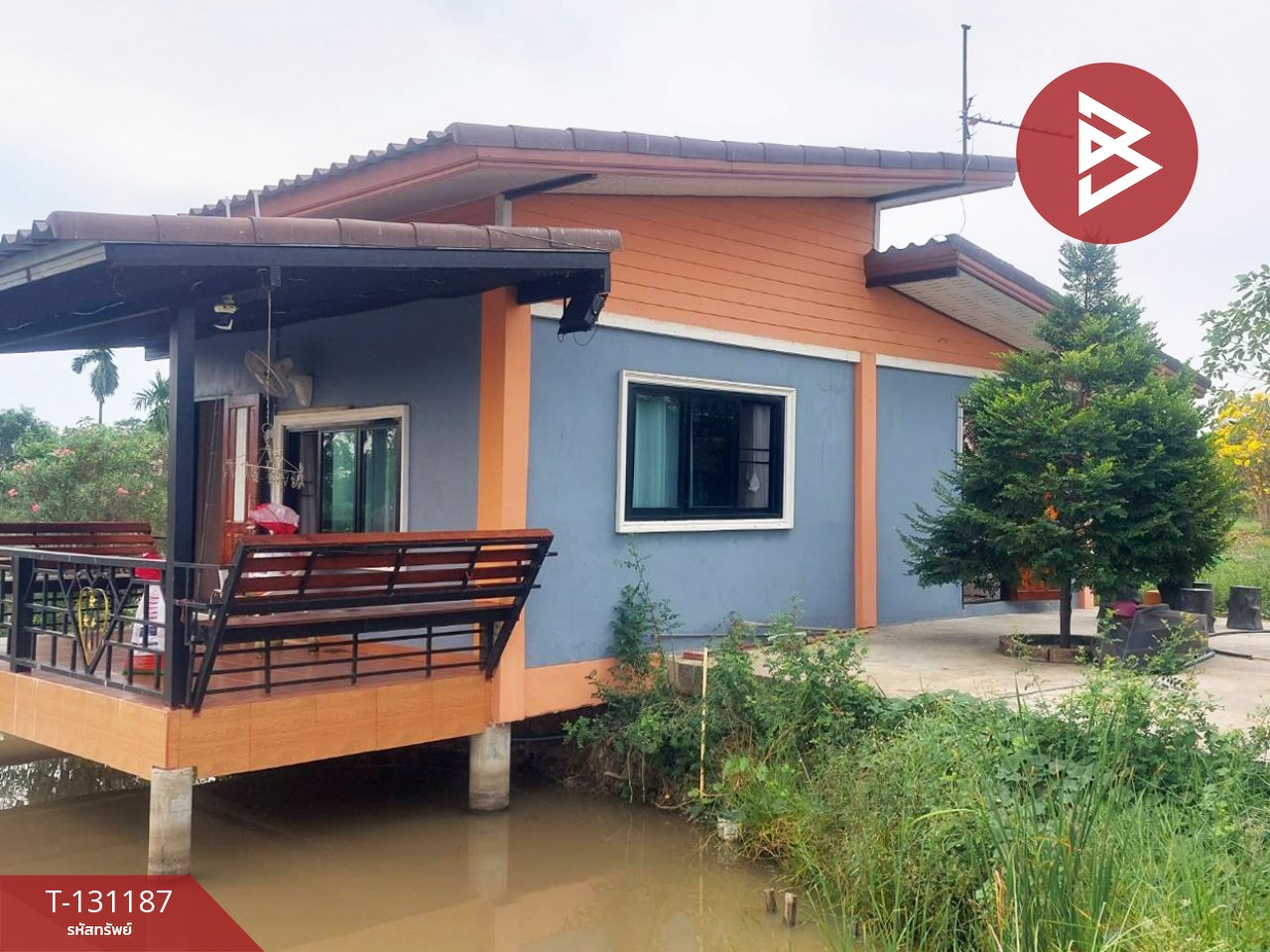 ขายบ้านเดี่ยวพร้อมที่ดิน เนื้อที่ 2 ไร่ บางแก้ว ฉะเชิงเทรา 3