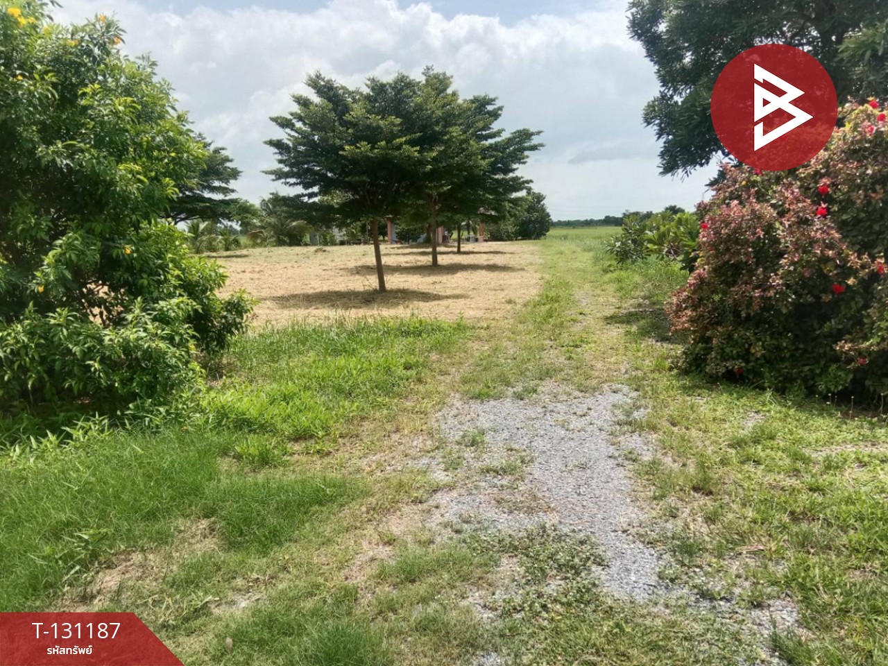 ขายบ้านเดี่ยวพร้อมที่ดิน เนื้อที่ 2 ไร่ บางแก้ว ฉะเชิงเทรา 11