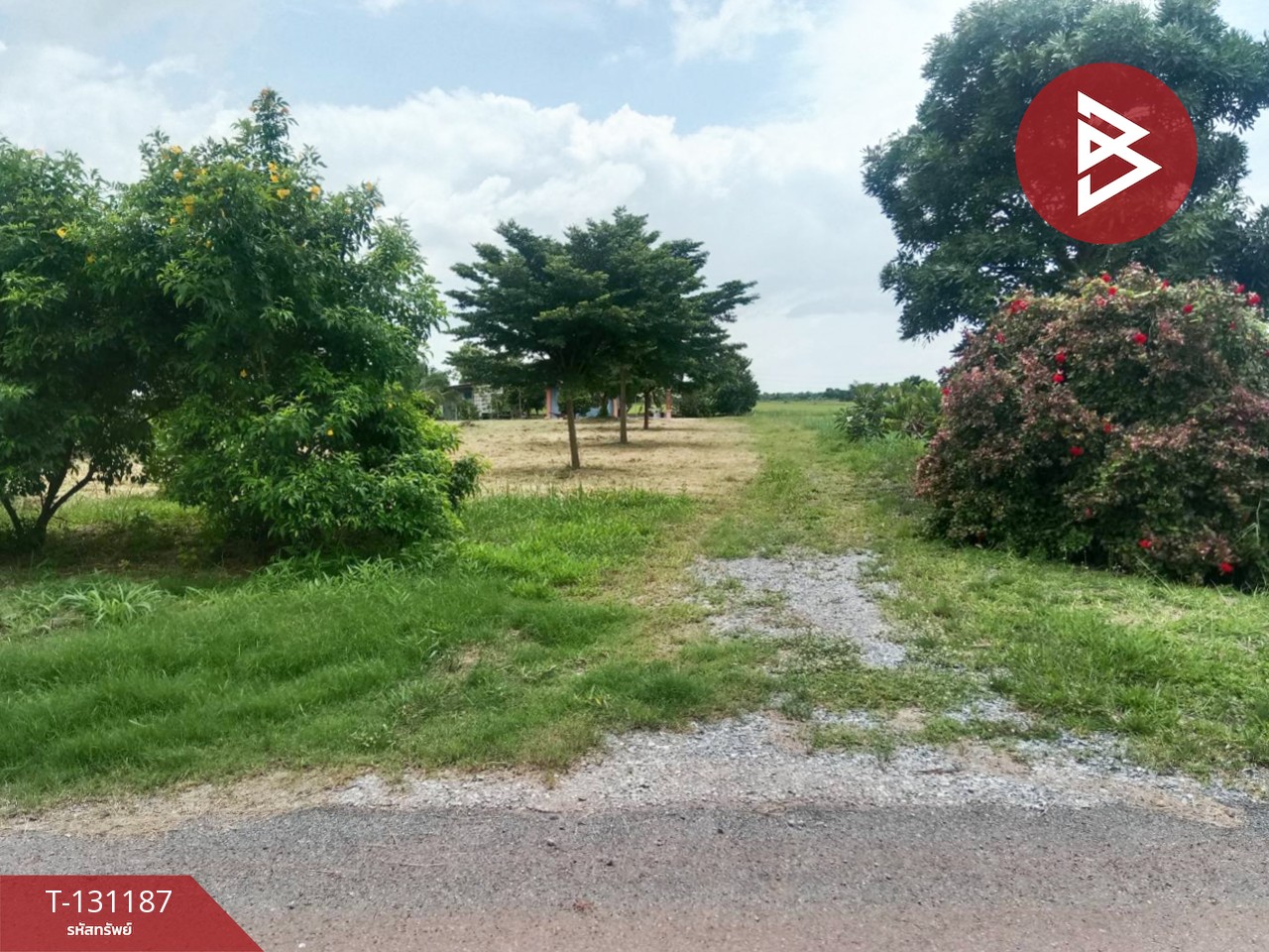 ขายบ้านเดี่ยวพร้อมที่ดิน เนื้อที่ 2 ไร่ บางแก้ว ฉะเชิงเทรา 12