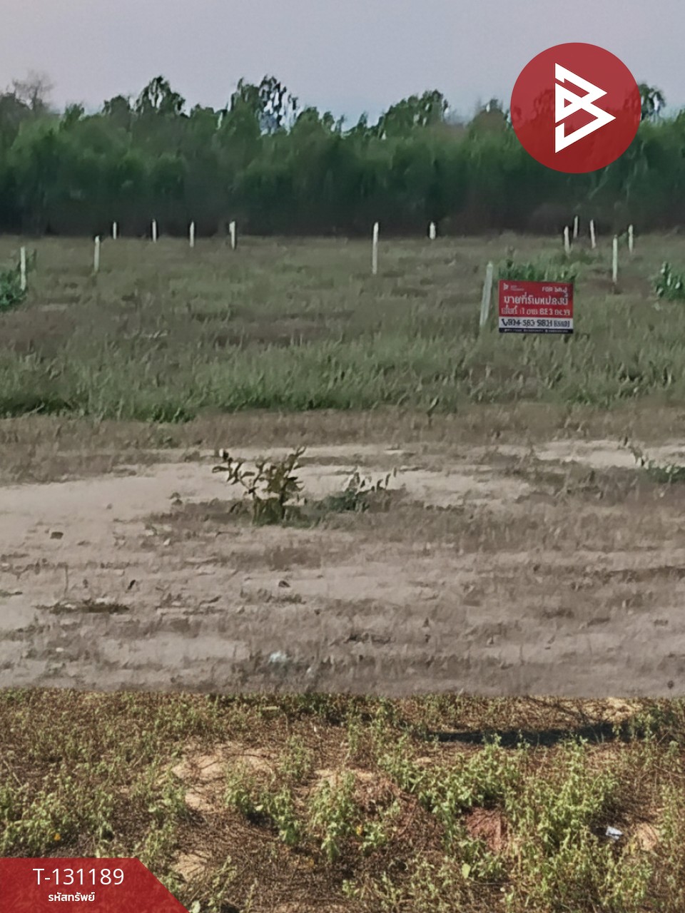 ขายที่ดิน เนื้อที่ 1 งาน 82.3 ตร.วา ชะอำ เพชรบุรี 5