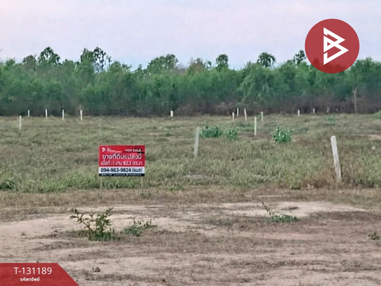 ขายที่ดิน เนื้อที่ 1 งาน 82.3 ตร.วา ชะอำ เพชรบุรี 4