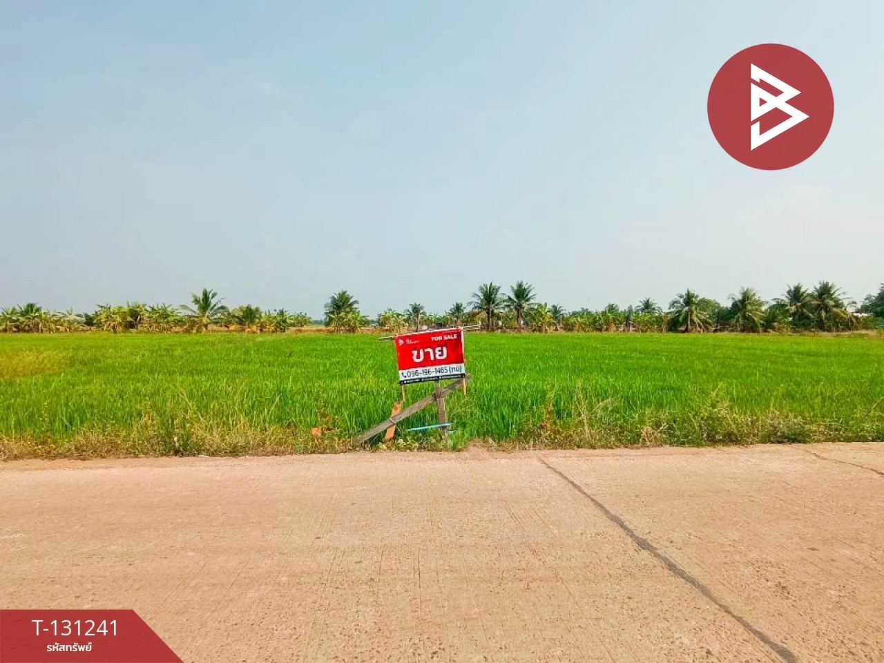 ขายที่ดิน เนื้อที่ 1 ไร่ 3 งาน 98 ตร.วา ราชสาส์น ฉะเชิงเทรา 1