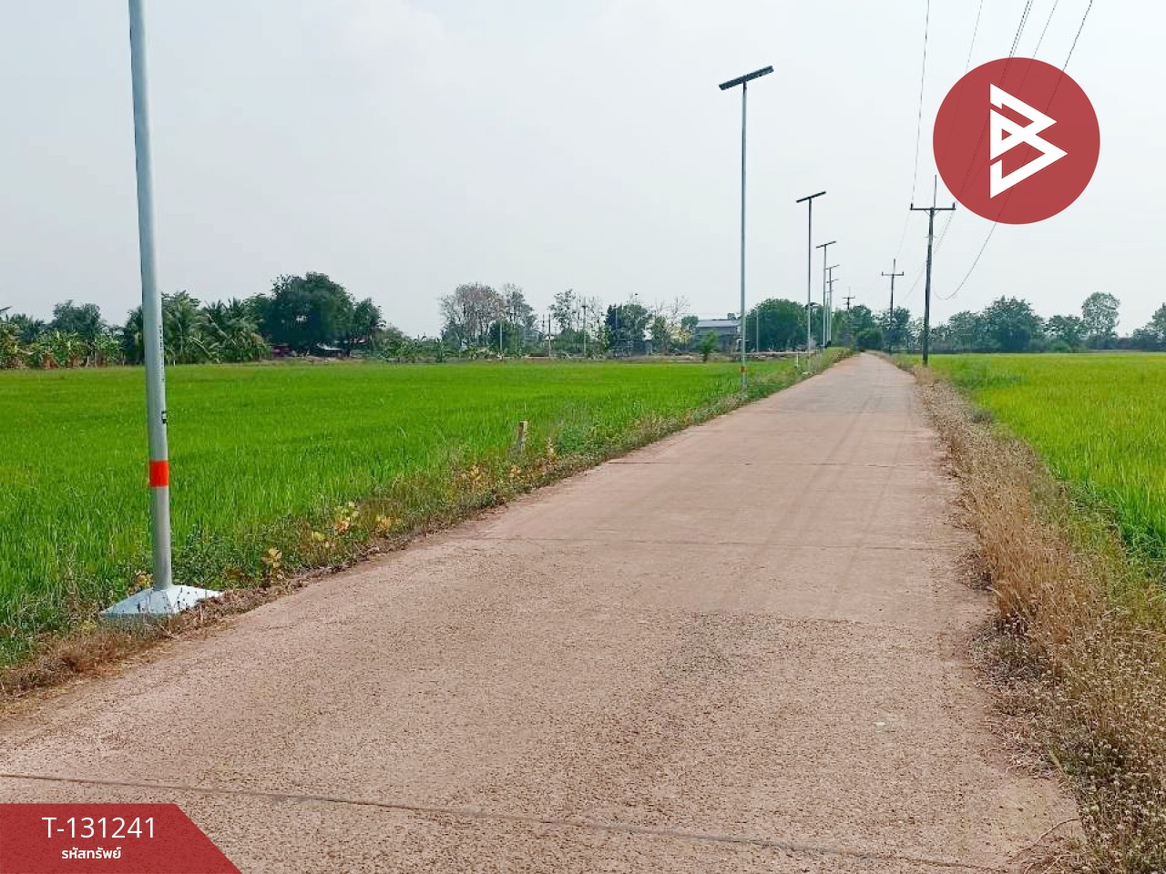 ขายที่ดิน เนื้อที่ 1 ไร่ 3 งาน 98 ตร.วา ราชสาส์น ฉะเชิงเทรา 10