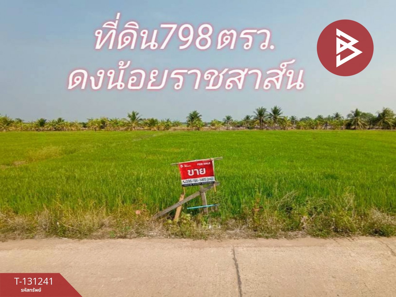 ขายที่ดิน เนื้อที่ 1 ไร่ 3 งาน 98 ตร.วา ราชสาส์น ฉะเชิงเทรา 3