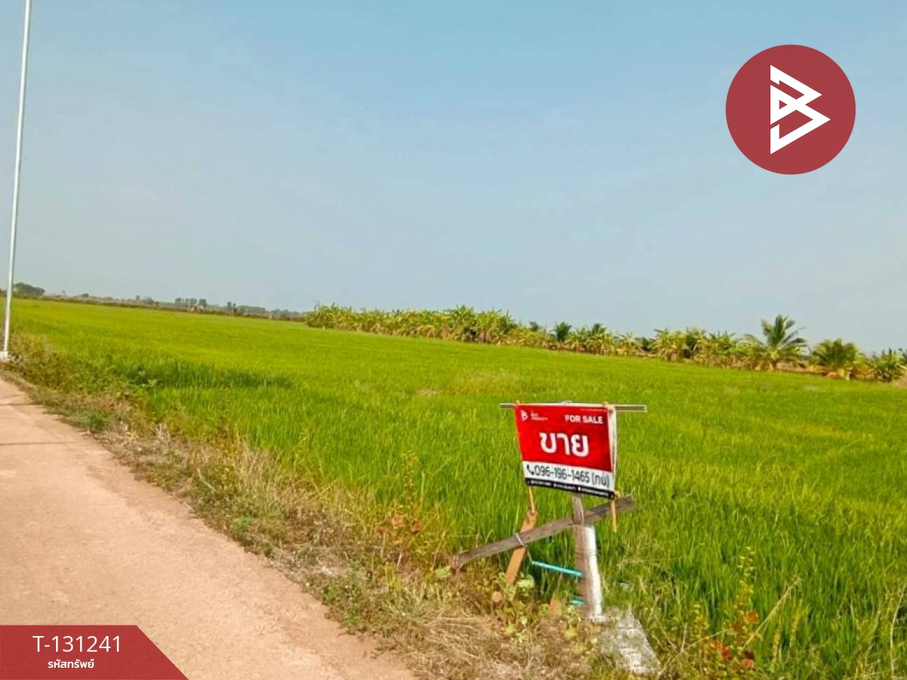 ขายที่ดิน เนื้อที่ 1 ไร่ 3 งาน 98 ตร.วา ราชสาส์น ฉะเชิงเทรา 2