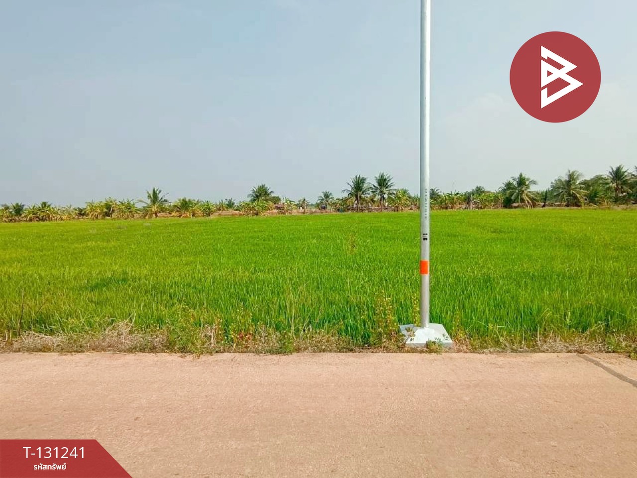 ขายที่ดิน เนื้อที่ 1 ไร่ 3 งาน 98 ตร.วา ราชสาส์น ฉะเชิงเทรา 9