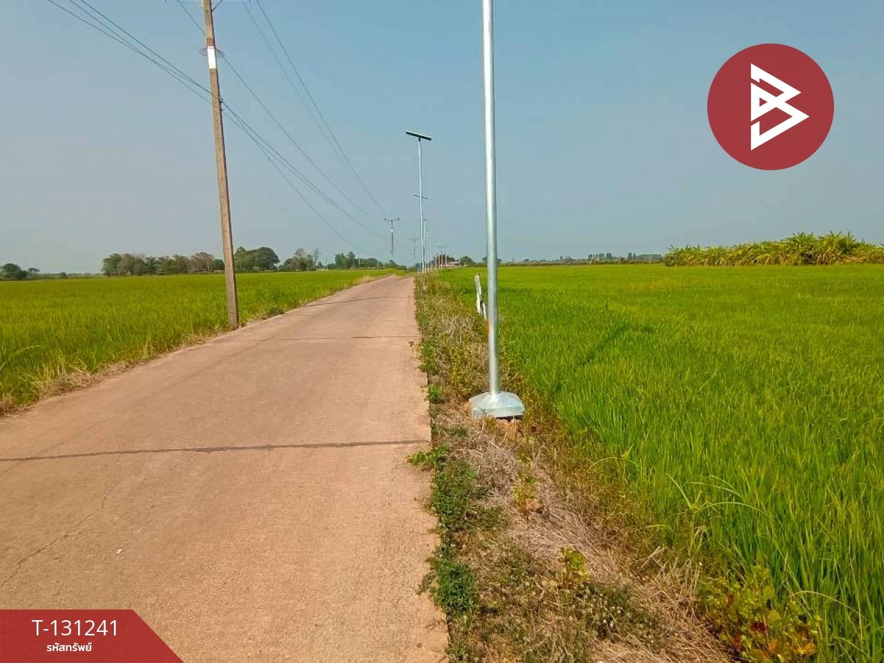 ขายที่ดิน เนื้อที่ 1 ไร่ 3 งาน 98 ตร.วา ราชสาส์น ฉะเชิงเทรา 11