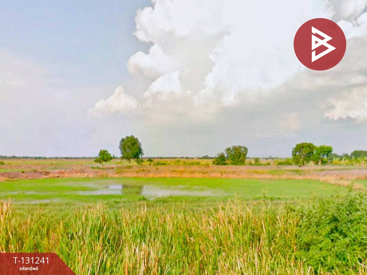 ขายที่ดิน เนื้อที่ 1 ไร่ 3 งาน 98 ตร.วา ราชสาส์น ฉะเชิงเทรา 4