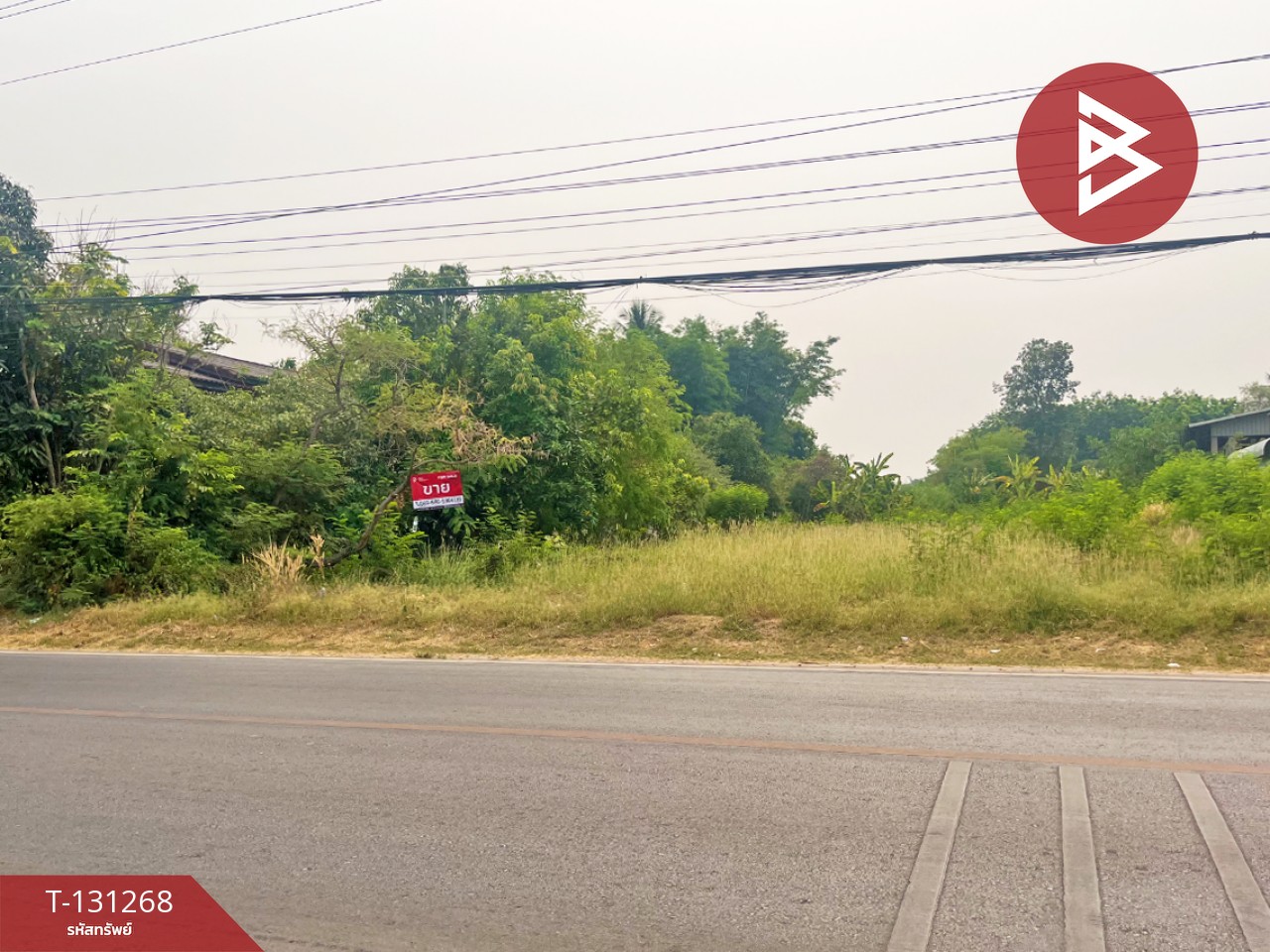 ขายที่ดิน เนื้อที่ 1 งาน 16 ตร.วา บ้านจั่น อุดรธานี 2