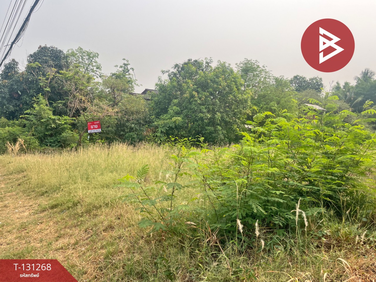 ขายที่ดิน เนื้อที่ 1 งาน 16 ตร.วา บ้านจั่น อุดรธานี 5