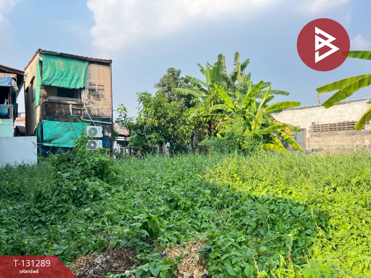 ขายที่ดิน เนื้อที่ 50.6 ตร.วา ปากน้ำ สมุทรปราการ 3