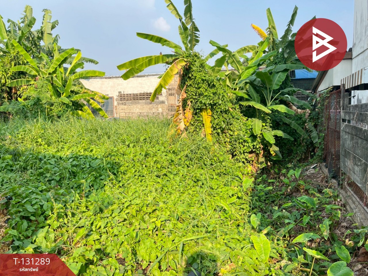 ขายที่ดิน เนื้อที่ 50.6 ตร.วา ปากน้ำ สมุทรปราการ 4