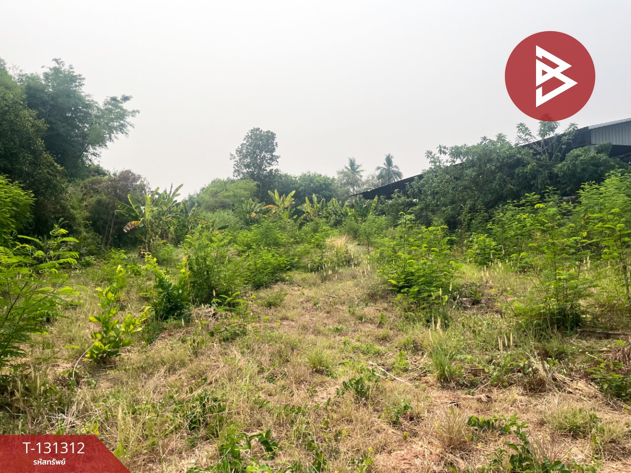 ขายที่ดิน เนื้อที่ 117 ตารางวา ต.บ้านจั่น อุดรธานี 2