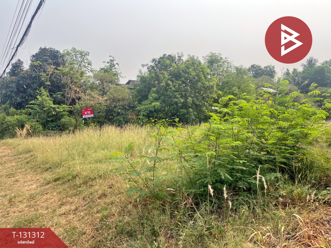 ขายที่ดิน เนื้อที่ 117 ตารางวา ต.บ้านจั่น อุดรธานี 4