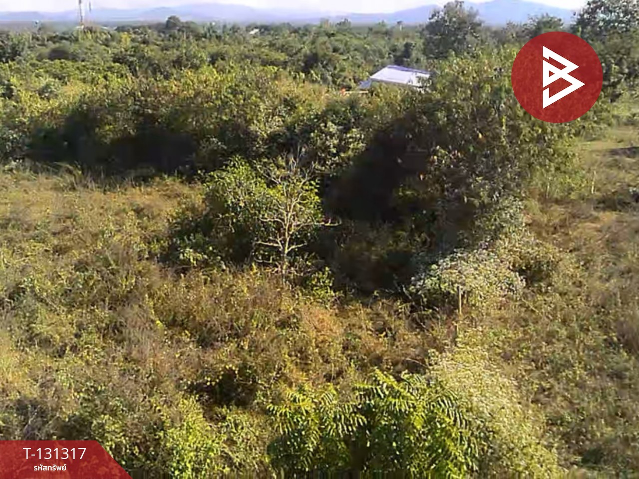 ขายที่ดิน เนื้อที่ 1 ไร่ 2 งาน 88 ตารางวา ดอยหล่อ เชียงใหม่ 9