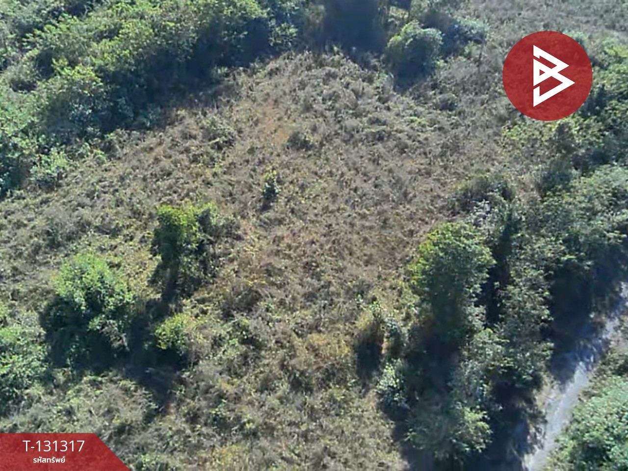 ขายที่ดิน เนื้อที่ 1 ไร่ 2 งาน 88 ตารางวา ดอยหล่อ เชียงใหม่ 5