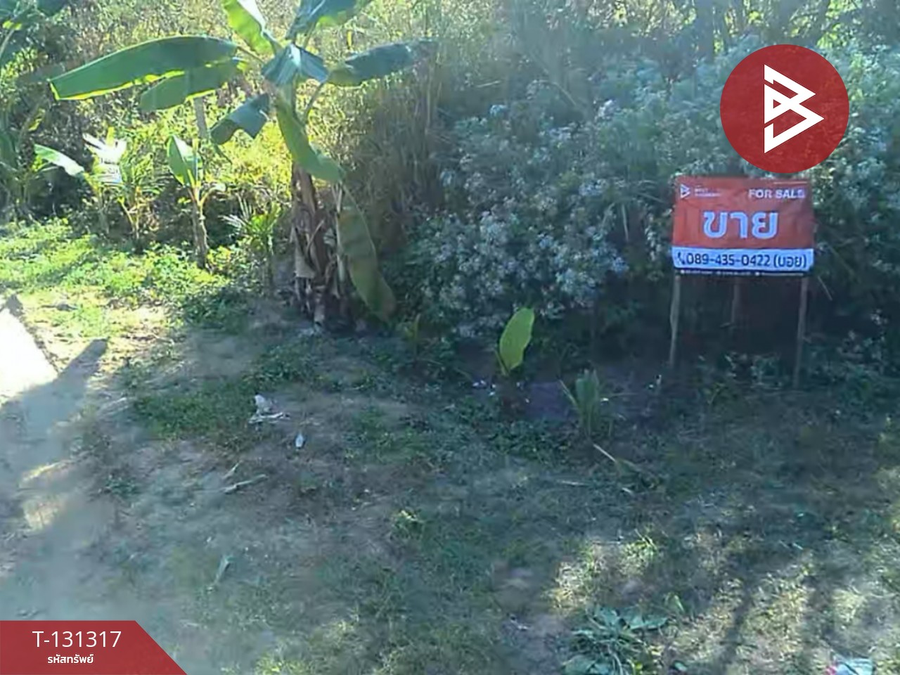 ขายที่ดิน เนื้อที่ 1 ไร่ 2 งาน 88 ตารางวา ดอยหล่อ เชียงใหม่ 2