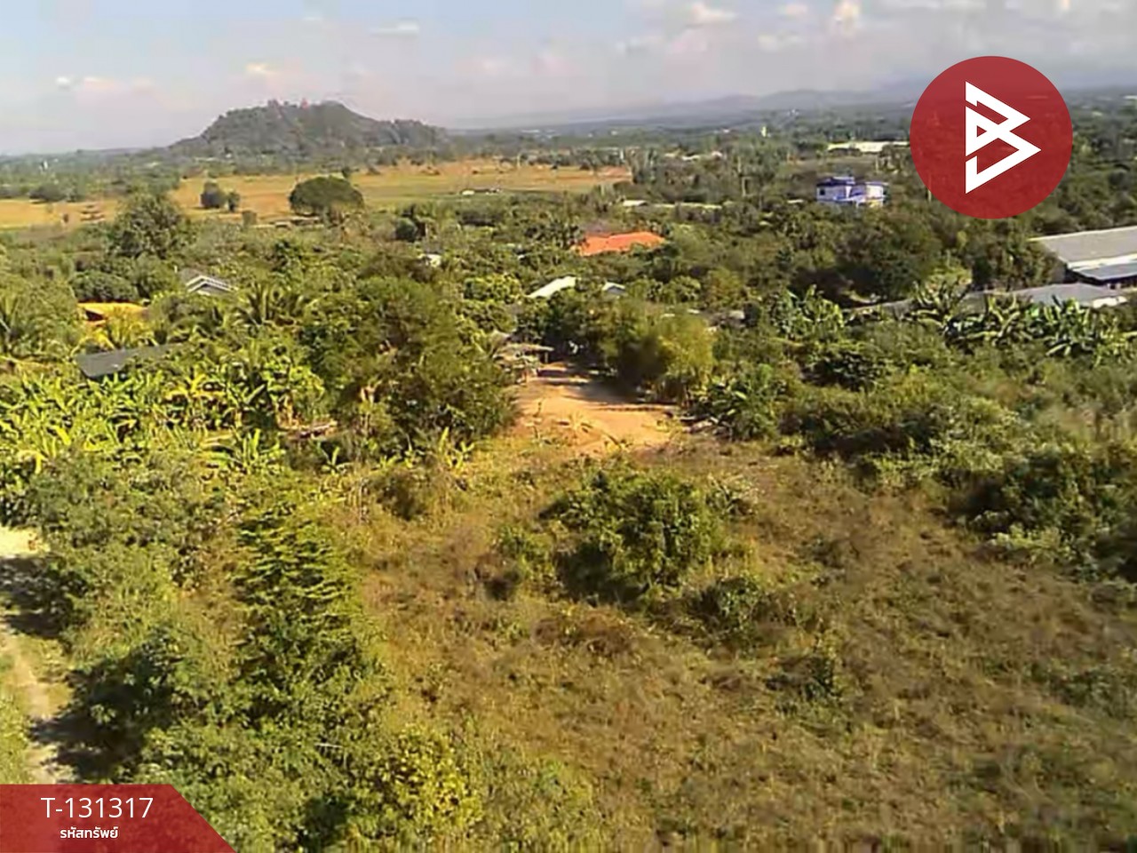 ขายที่ดิน เนื้อที่ 1 ไร่ 2 งาน 88 ตารางวา ดอยหล่อ เชียงใหม่ 8