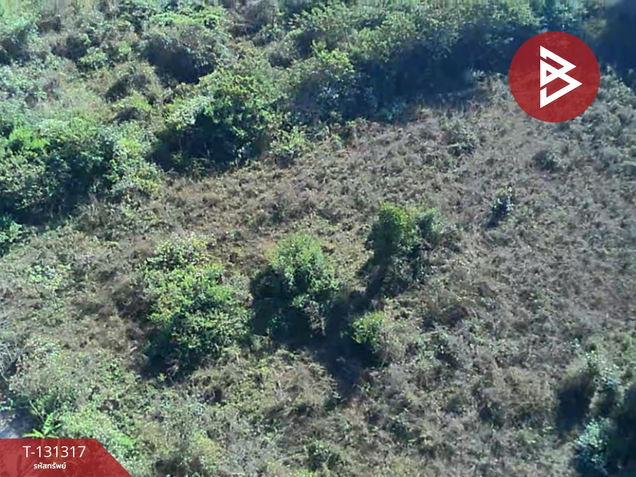 ขายที่ดิน เนื้อที่ 1 ไร่ 2 งาน 88 ตารางวา ดอยหล่อ เชียงใหม่ 6