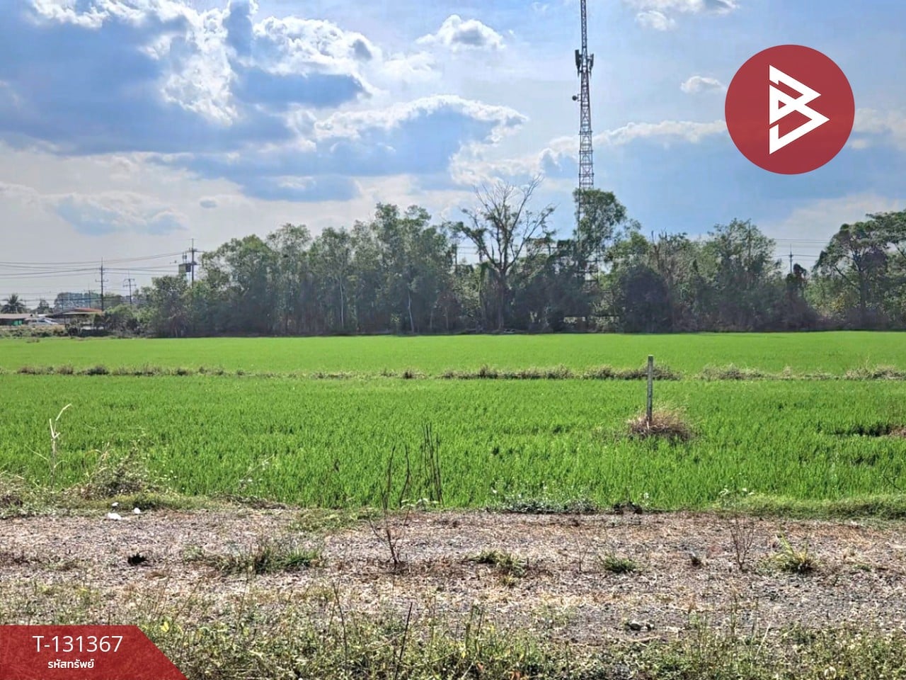 ขายที่ดิน เนื้อที่ 6 ไร่ 3 งาน 0.2 ตร.วา ปากพลี นครนายก 1