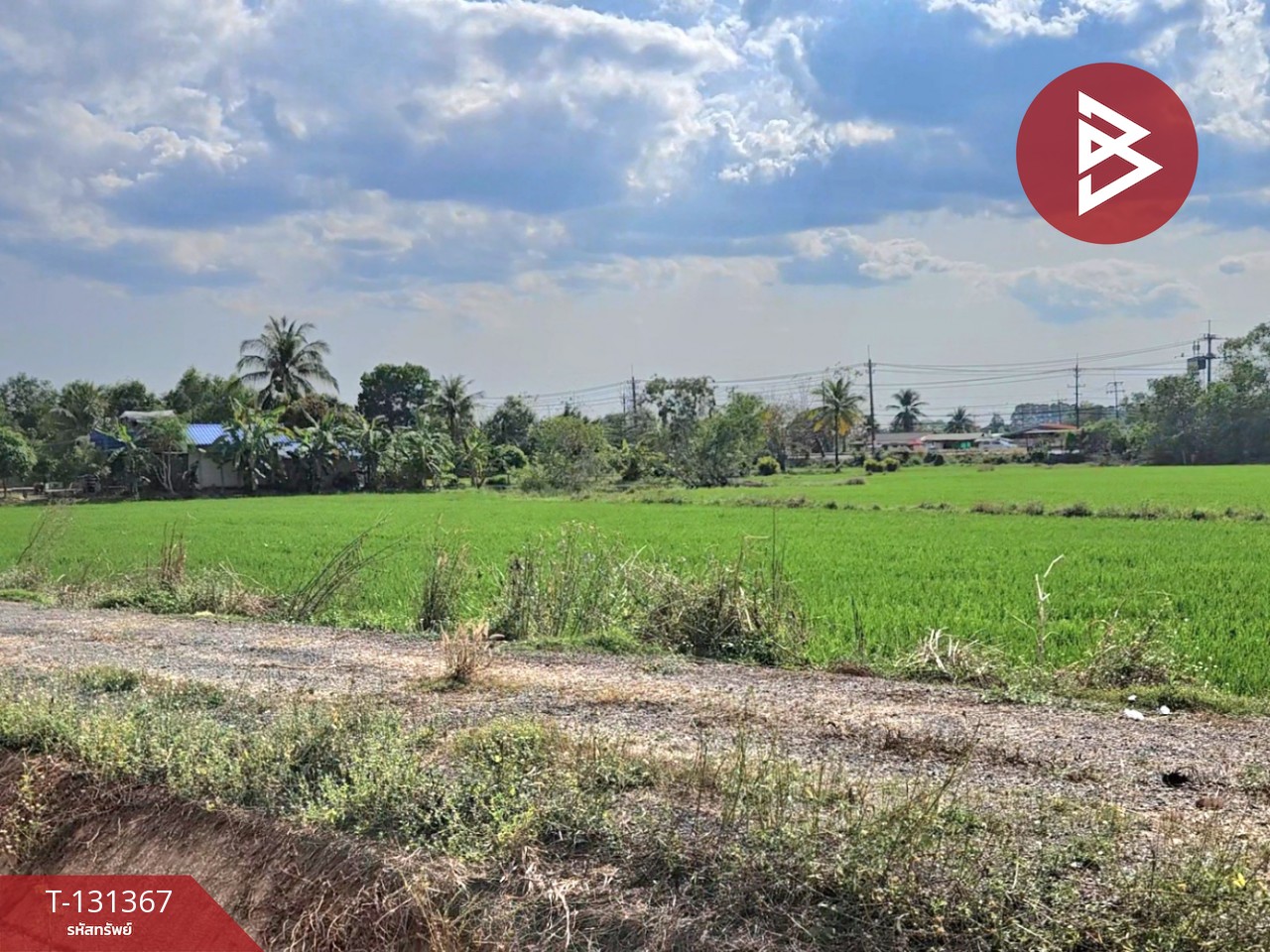 ขายที่ดิน เนื้อที่ 6 ไร่ 3 งาน 0.2 ตร.วา ปากพลี นครนายก 2