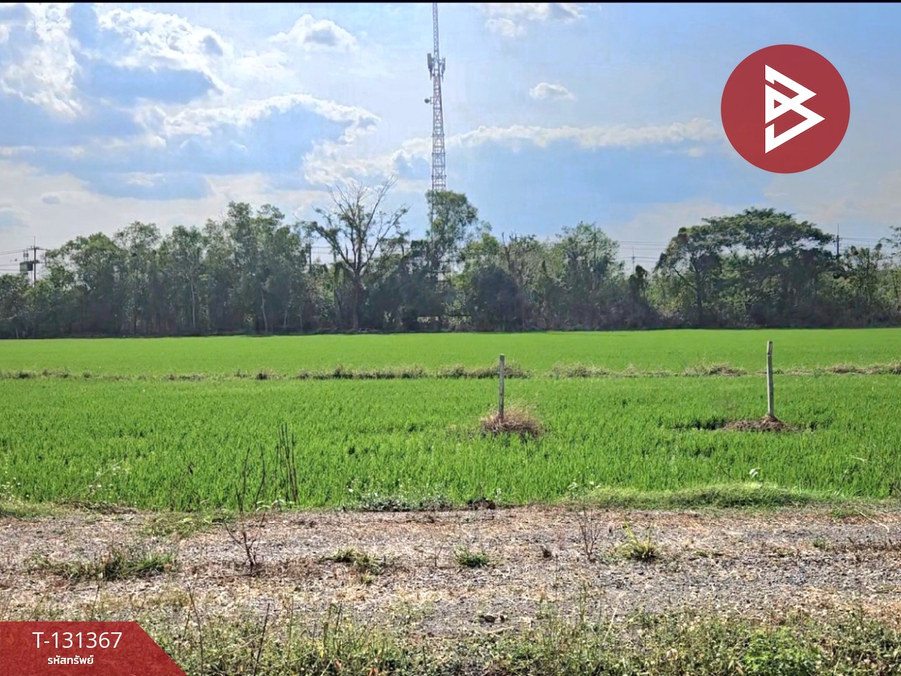 ขายที่ดิน เนื้อที่ 6 ไร่ 3 งาน 0.2 ตร.วา ปากพลี นครนายก 3