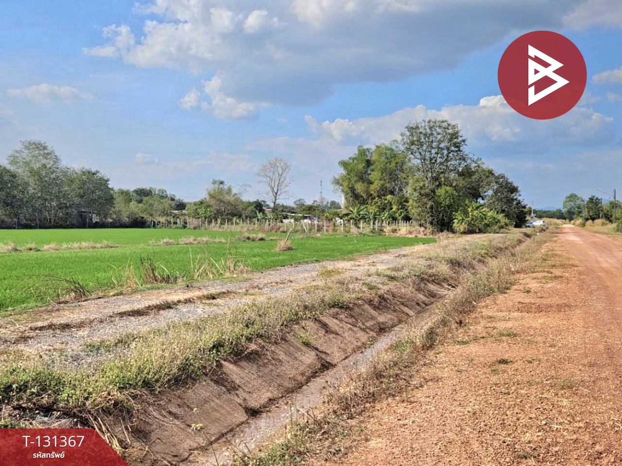 ขายที่ดิน เนื้อที่ 6 ไร่ 3 งาน 0.2 ตร.วา ปากพลี นครนายก 5