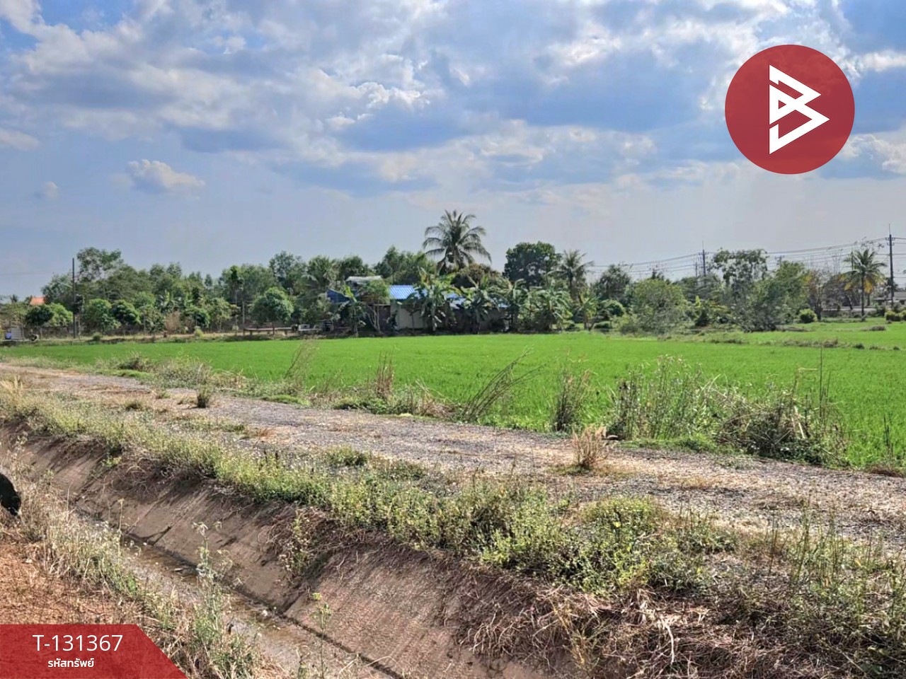 ขายที่ดิน เนื้อที่ 6 ไร่ 3 งาน 0.2 ตร.วา ปากพลี นครนายก 4