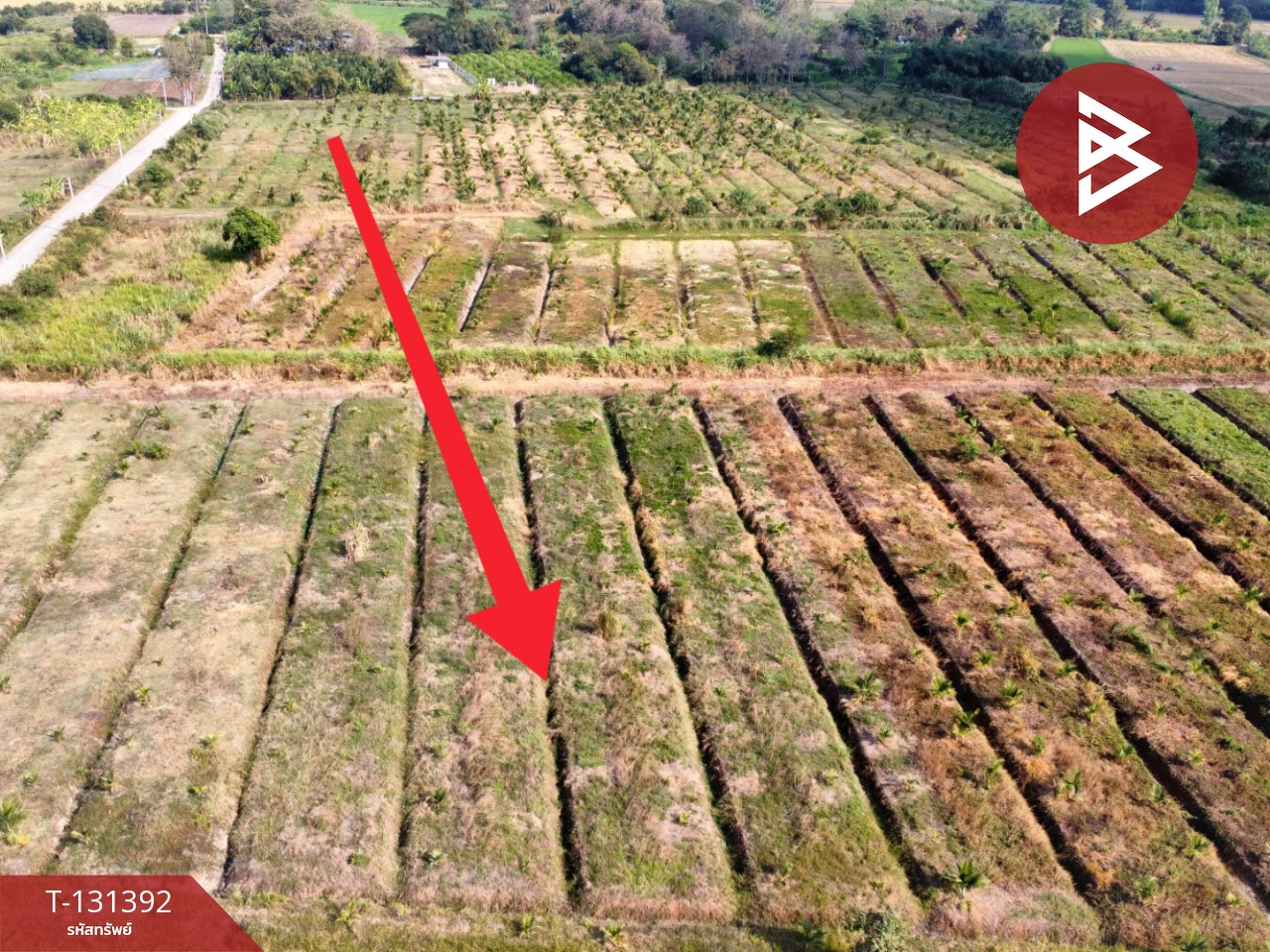 ขายที่ดิน เนื้อที่ 42 ไร่ 1 งาน 21 ตร.วา ห้วยไผ่ ราชบุรี 10