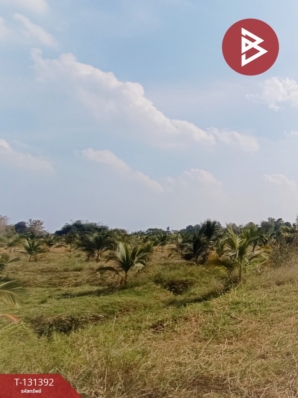 ขายที่ดิน เนื้อที่ 42 ไร่ 1 งาน 21 ตร.วา ห้วยไผ่ ราชบุรี 14