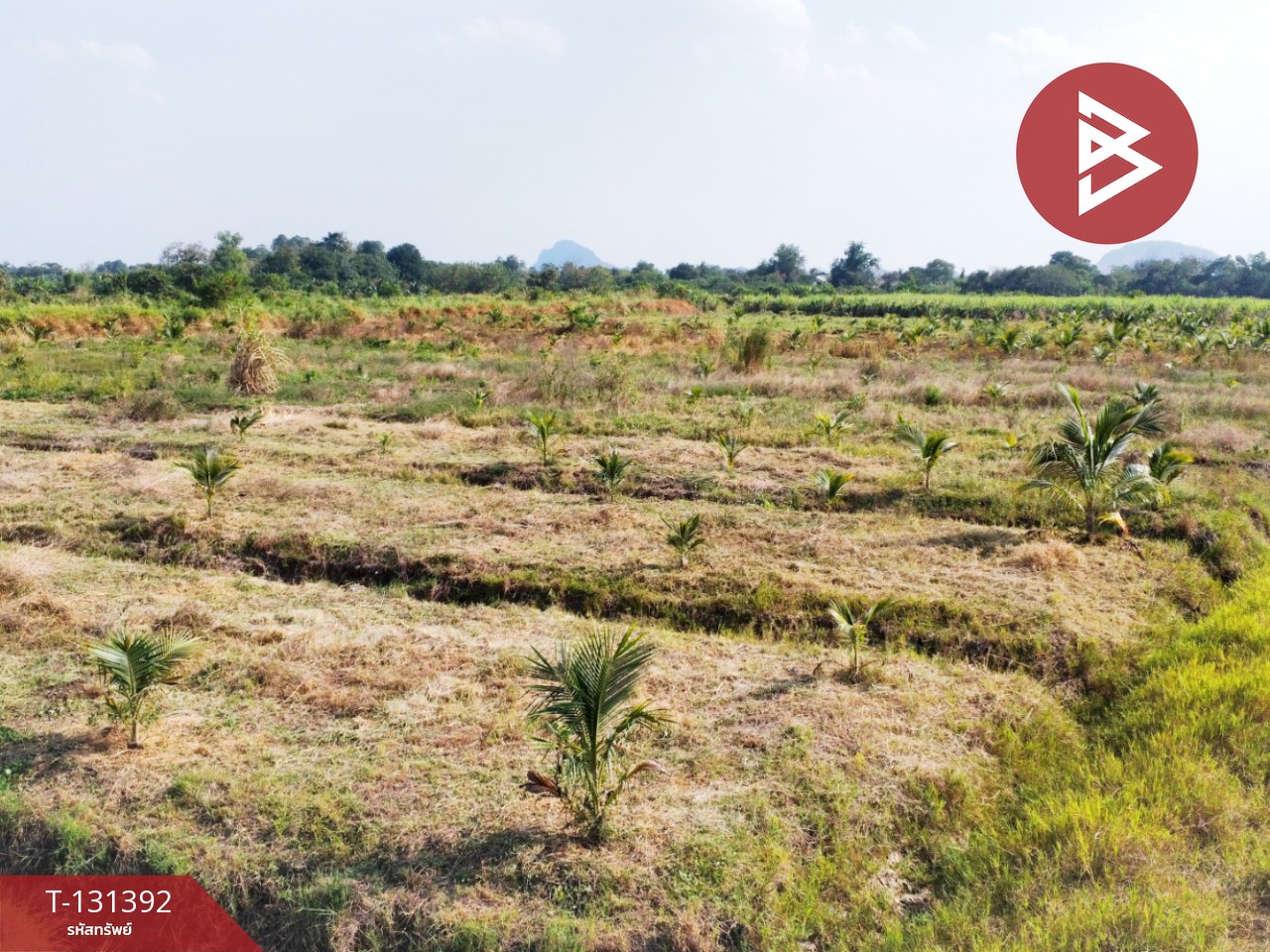 ขายที่ดิน เนื้อที่ 42 ไร่ 1 งาน 21 ตร.วา ห้วยไผ่ ราชบุรี 4