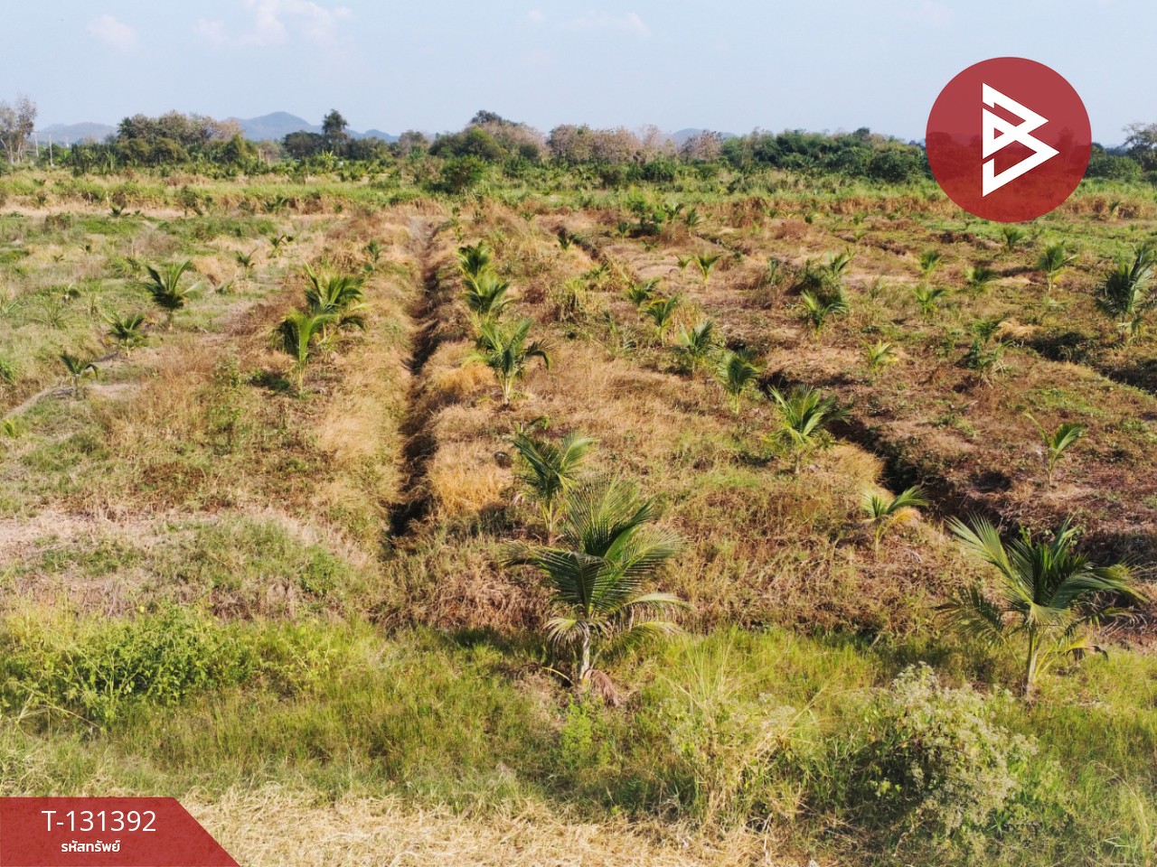 ขายที่ดิน เนื้อที่ 42 ไร่ 1 งาน 21 ตร.วา ห้วยไผ่ ราชบุรี 3