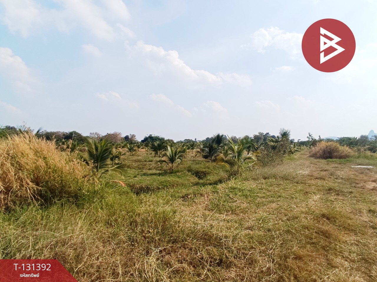 ขายที่ดิน เนื้อที่ 42 ไร่ 1 งาน 21 ตร.วา ห้วยไผ่ ราชบุรี 2