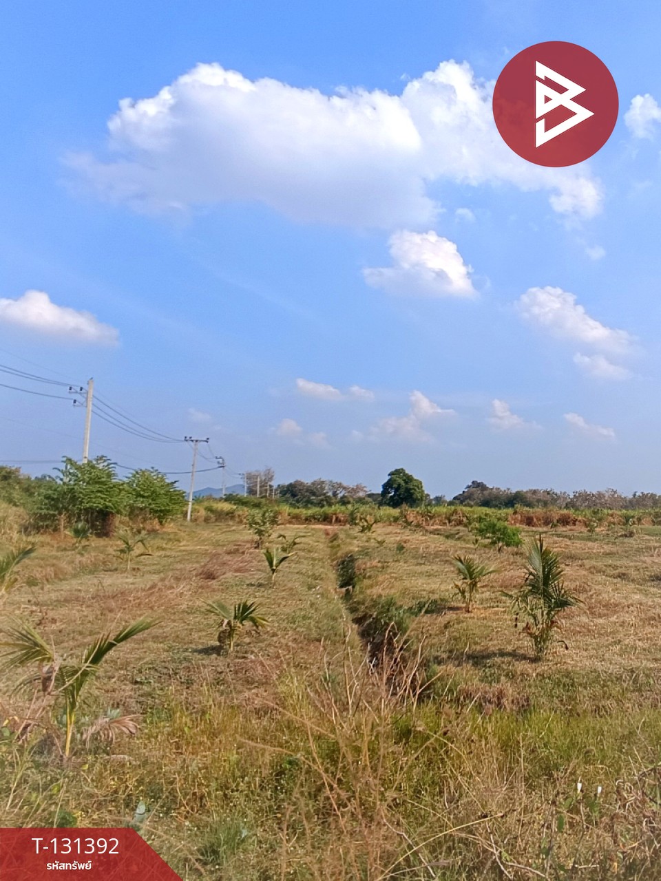 ขายที่ดิน เนื้อที่ 42 ไร่ 1 งาน 21 ตร.วา ห้วยไผ่ ราชบุรี 6