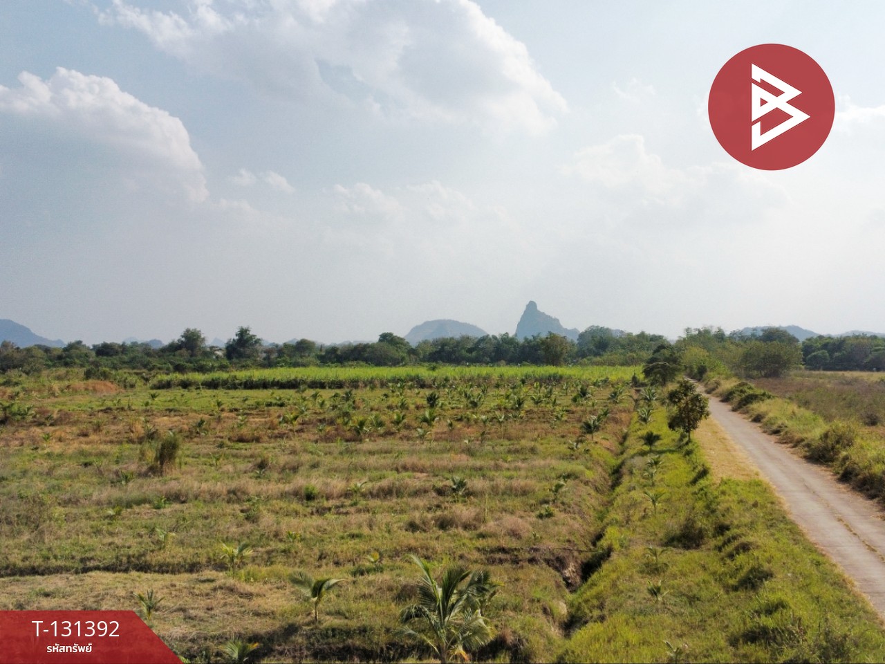 ขายที่ดิน เนื้อที่ 42 ไร่ 1 งาน 21 ตร.วา ห้วยไผ่ ราชบุรี 9