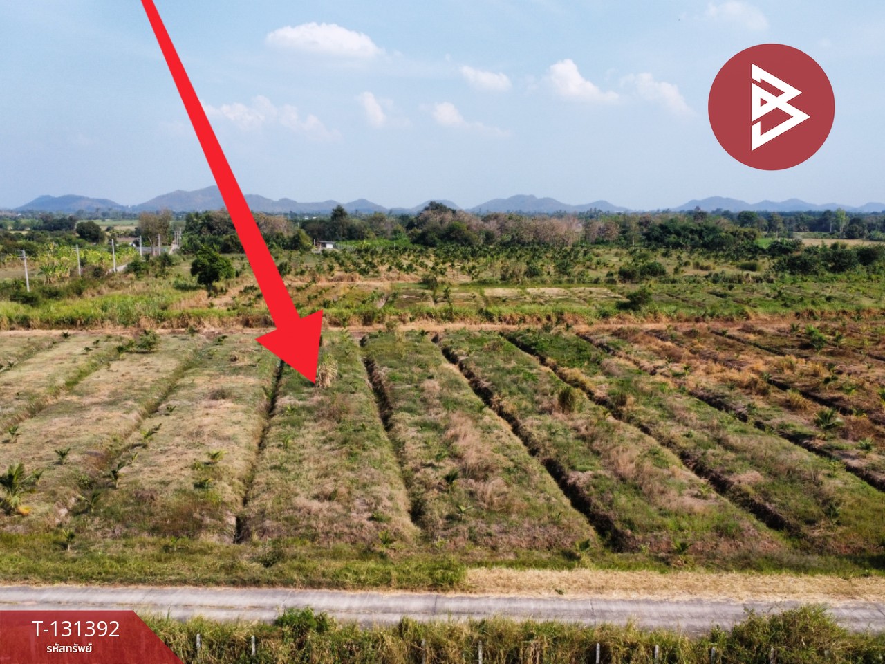 ขายที่ดิน เนื้อที่ 42 ไร่ 1 งาน 21 ตร.วา ห้วยไผ่ ราชบุรี 11