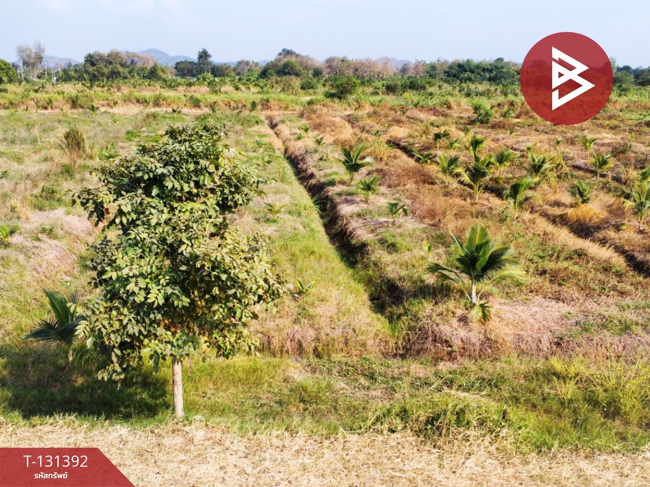 ขายที่ดิน เนื้อที่ 42 ไร่ 1 งาน 21 ตร.วา ห้วยไผ่ ราชบุรี 8