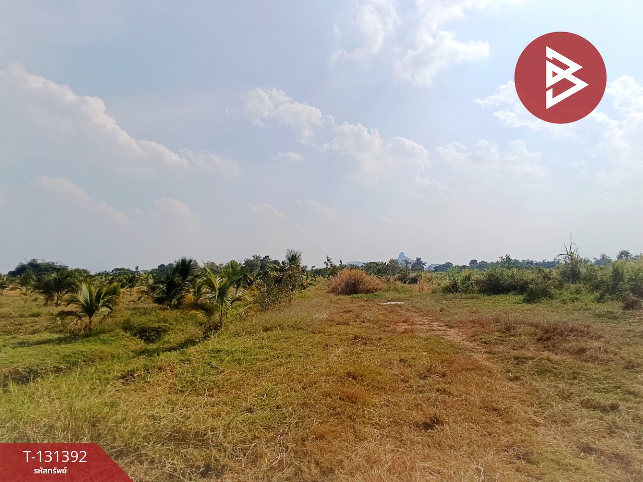 ขายที่ดิน เนื้อที่ 42 ไร่ 1 งาน 21 ตร.วา ห้วยไผ่ ราชบุรี 1