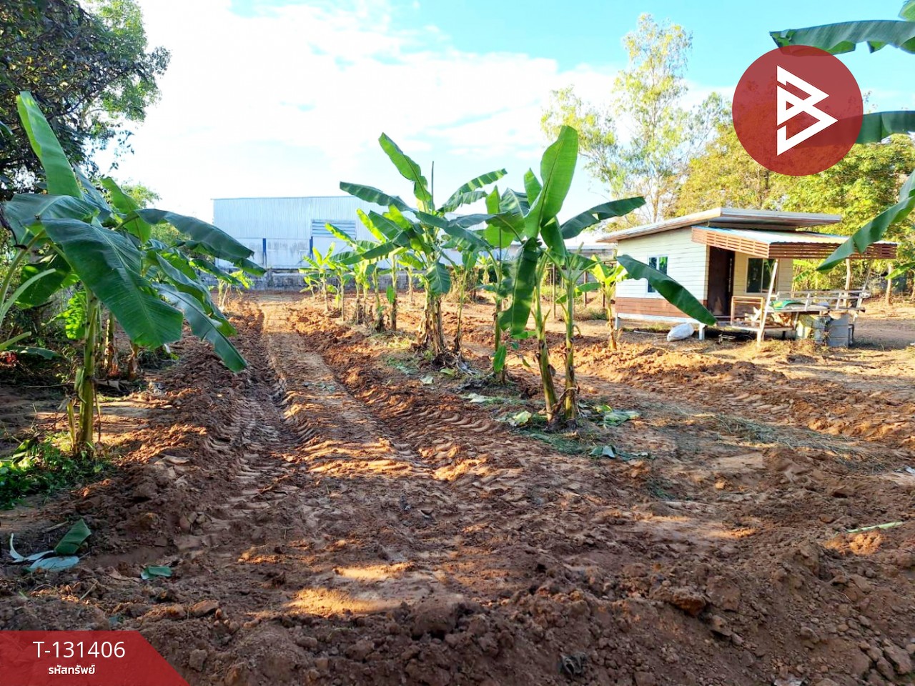 ขายที่ดินพร้อมบ้านน็อคดาวน์ เนื้อที่ 2 ไร่ ต.หาดคำ เมืองหนองคาย หนองคาย 4