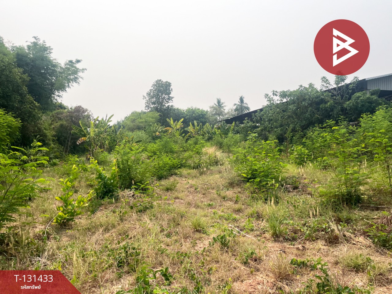 ขายที่ดิน เนื้อที่ 1 งาน 39 ตร.วา บ้านจั่น อุดรธานี 6