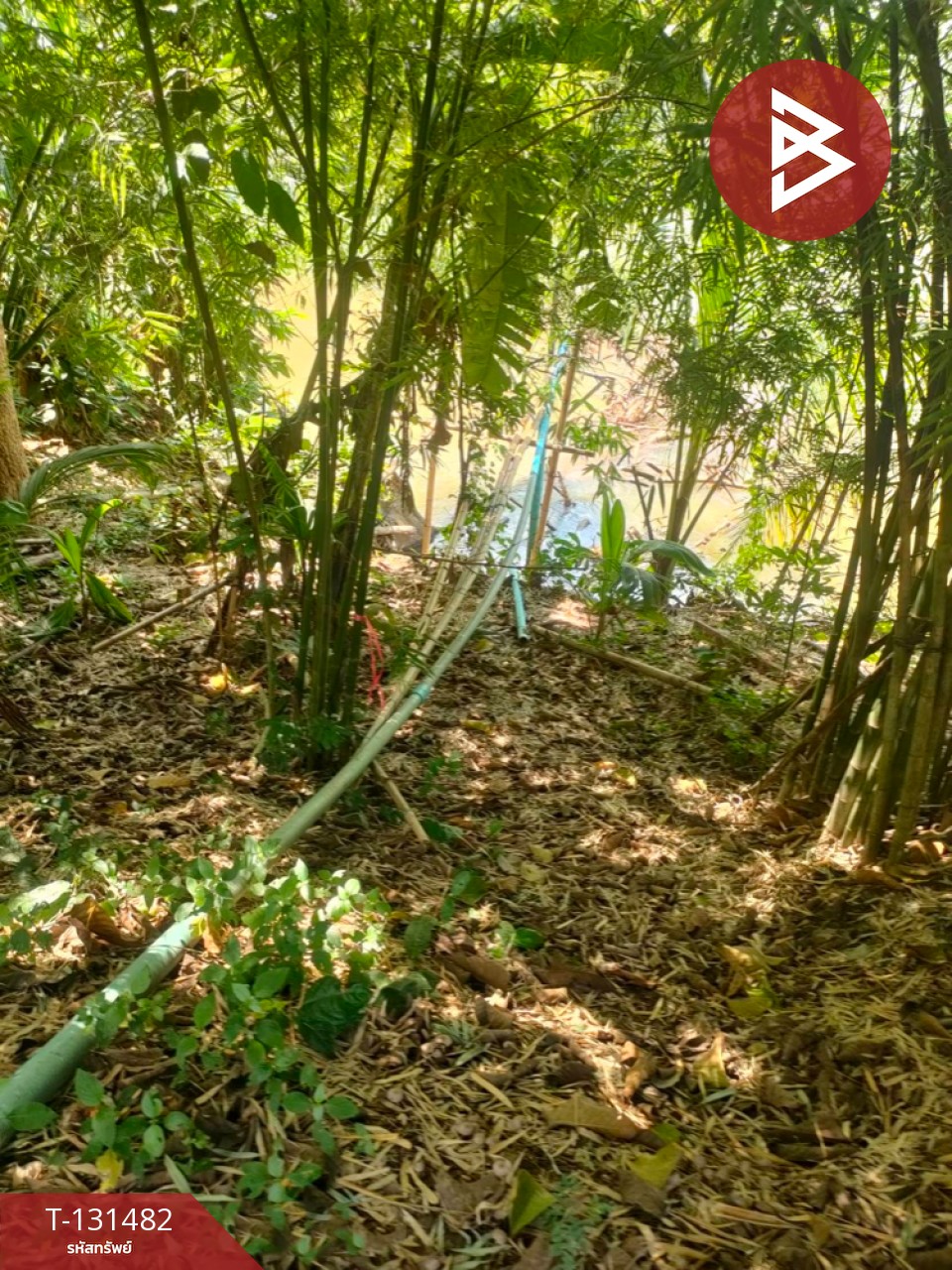 ขายที่ดิน เนื้อที่ 3 ไร่ 2 งาน 93.3 ตารางวา อ.สีคิ้ว นครราชสีมา 9