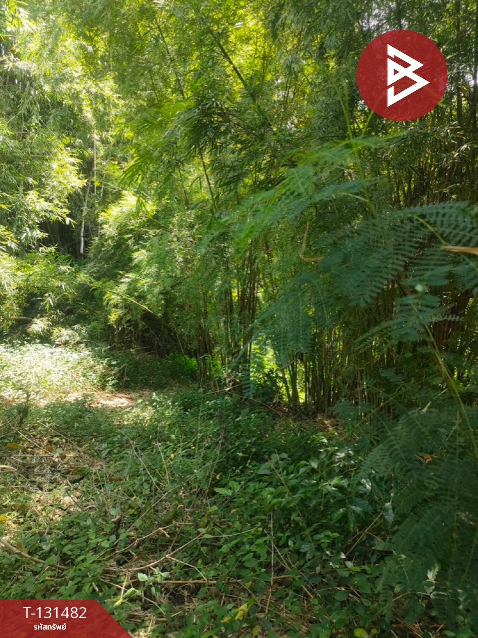 ขายที่ดิน เนื้อที่ 3 ไร่ 2 งาน 93.3 ตารางวา อ.สีคิ้ว นครราชสีมา 3