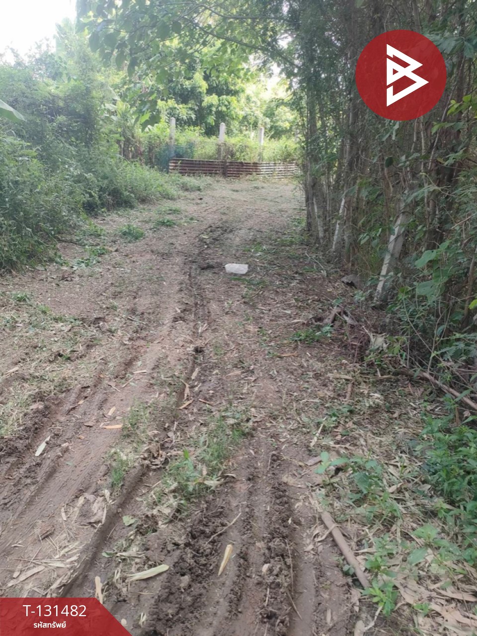 ขายที่ดิน เนื้อที่ 3 ไร่ 2 งาน 93.3 ตารางวา อ.สีคิ้ว นครราชสีมา 11