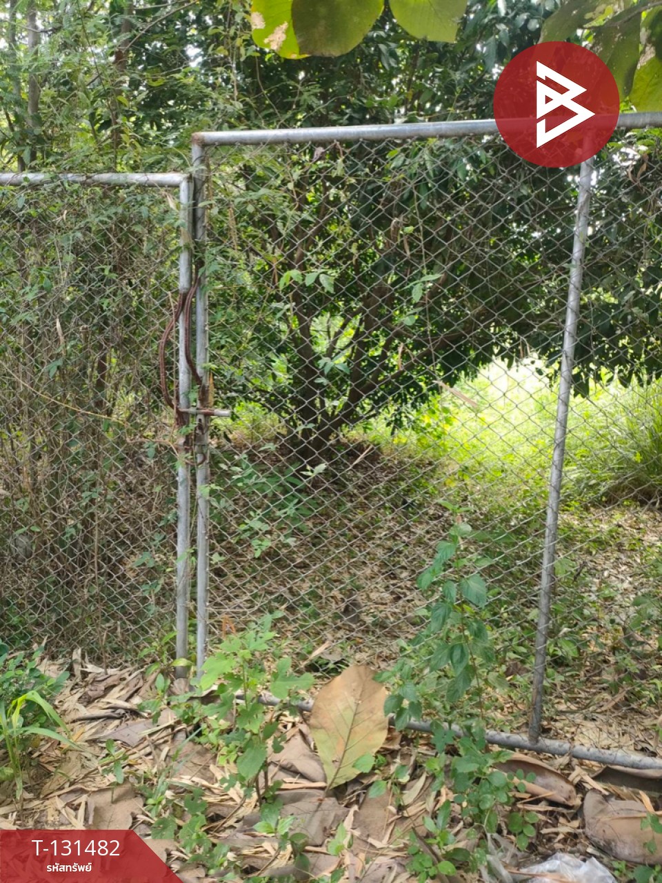 ขายที่ดิน เนื้อที่ 3 ไร่ 2 งาน 93.3 ตารางวา อ.สีคิ้ว นครราชสีมา 12