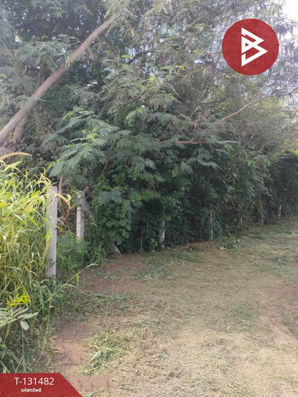 ขายที่ดิน เนื้อที่ 3 ไร่ 2 งาน 93.3 ตารางวา อ.สีคิ้ว นครราชสีมา 10