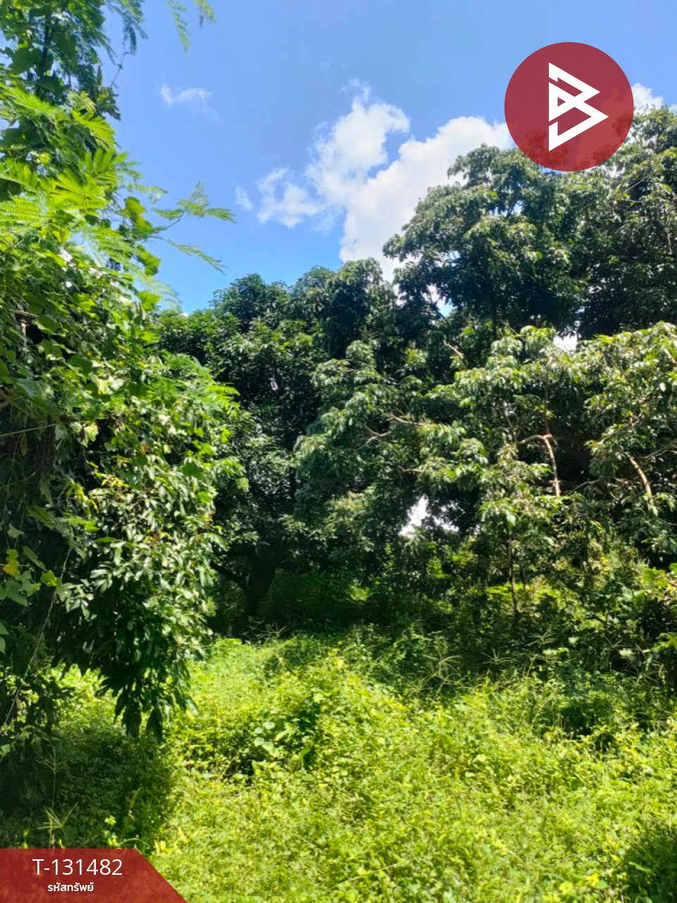 ขายที่ดิน เนื้อที่ 3 ไร่ 2 งาน 93.3 ตารางวา อ.สีคิ้ว นครราชสีมา 4